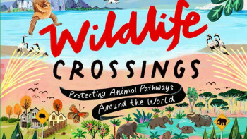 Wildlife Crossings