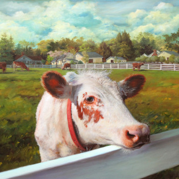 Sadie, NEW POND FARM COW