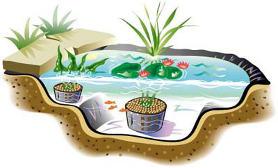 Pond
