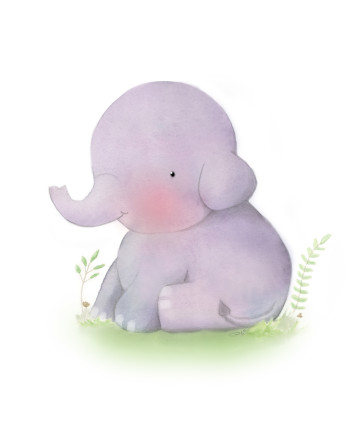 Little elephant