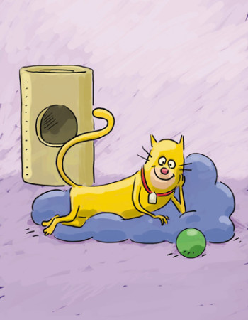 Cat Lounging