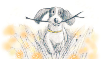 Dog Tales!