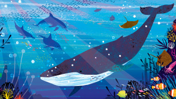 Discover What’s Under the Sea in These Underwater Illustrations