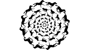 Spiraling silhouettes