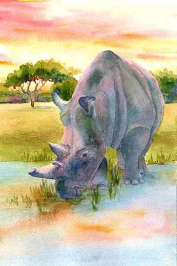 African Rhinoceros at sunset