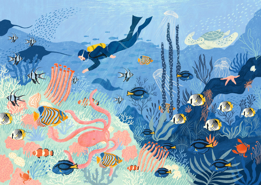 Explore the Open Waters with These Ocean Illustrations