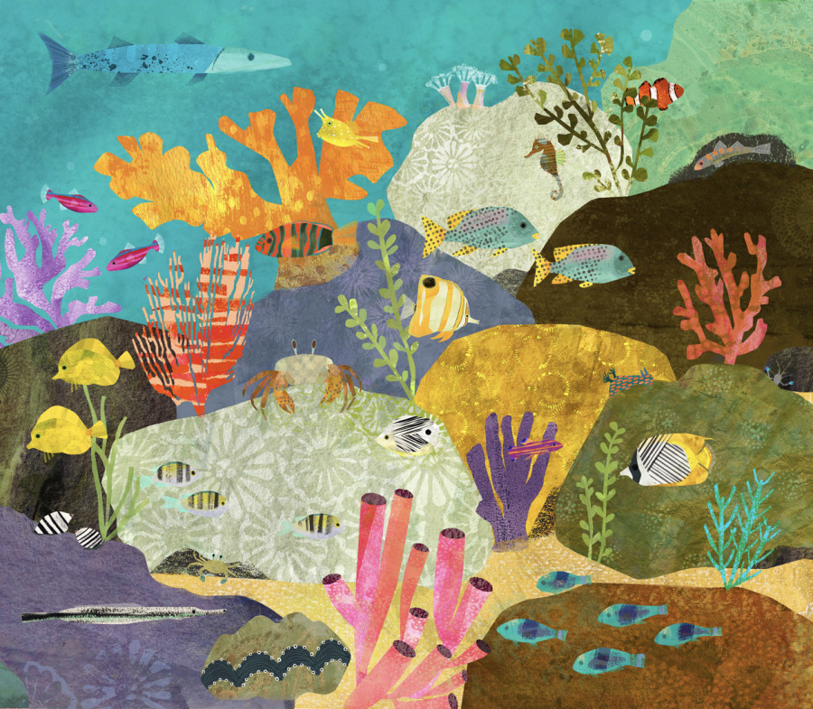 Discover What’s Under the Sea in These Underwater Illustrations