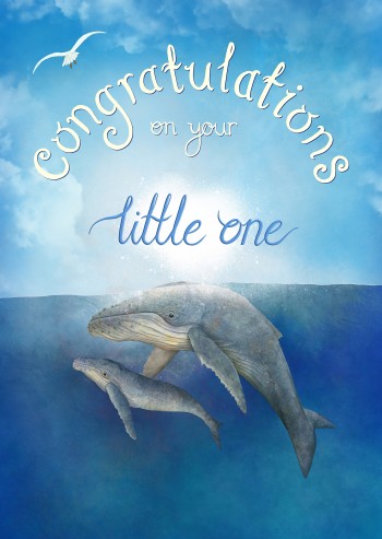 Congratulations Whales