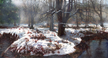Winter Backyard