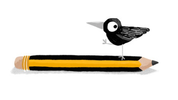 Crow Animation