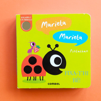 What Can You See?: Ladybug