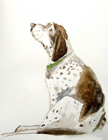 Sad Hound