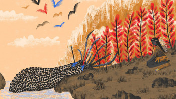 Autumn Illustrations That Perfectly Capture the Fall Vibe