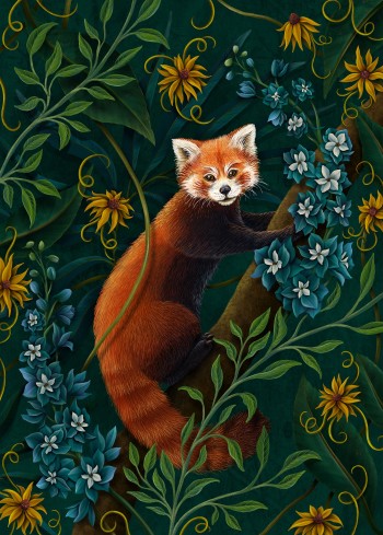 Red Panda