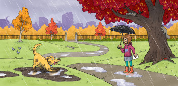 Big Cat 36: Get it Gus - Harper Collins
