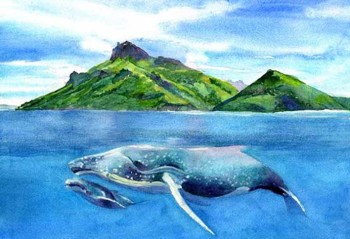 Mom with baby whale