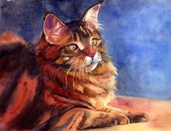 Orange Cat