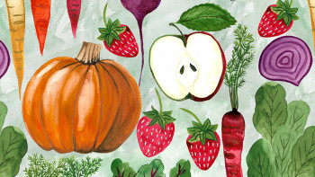 What’s in Season? Autumn Seasonal Fruits and Vegetables Illustrations