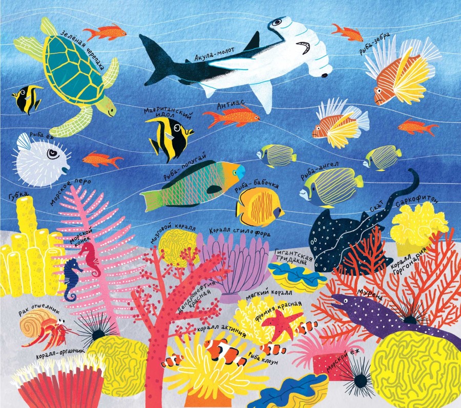 Discover What’s Under the Sea in These Underwater Illustrations