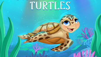 Nadia Ronquillo illustrates Rainbow Turtles