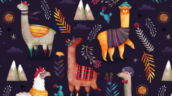 Patterns