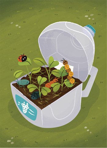 The Bug Jug