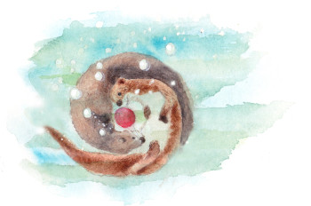 Otters underwater