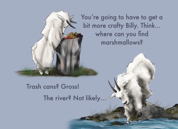 From Marshmallow Billy