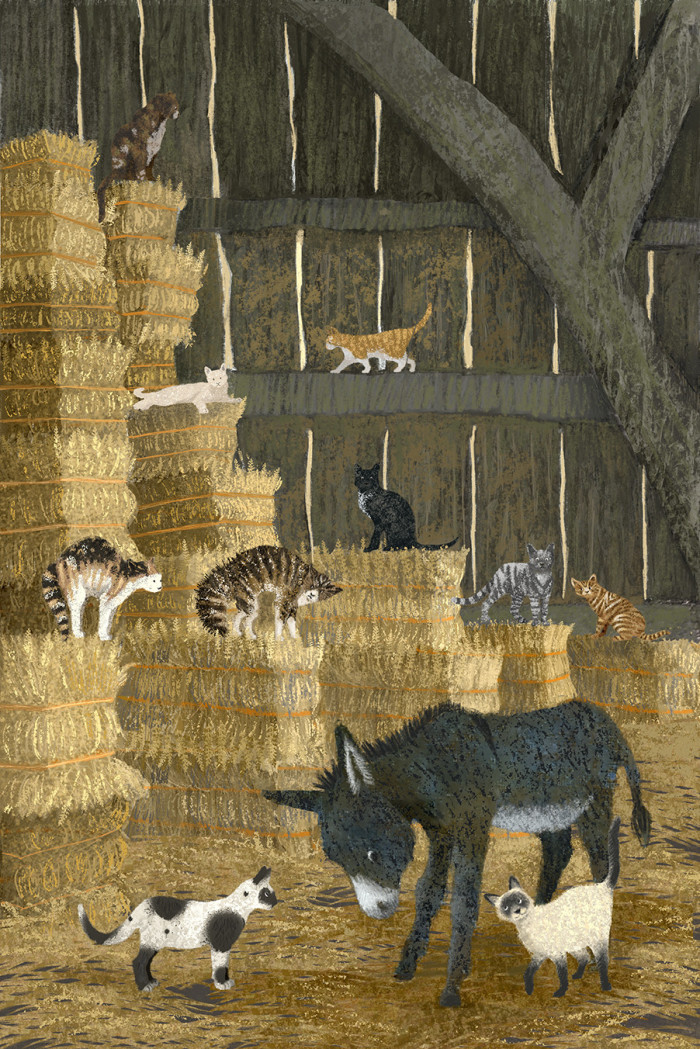 Celebrate International Cat Day with Cats, Cats, and More Cat Illustrations