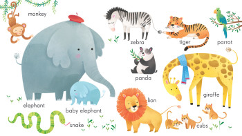 Board Books