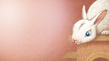 Animals: Realistic, Cartoonish, and Anthropomorphic