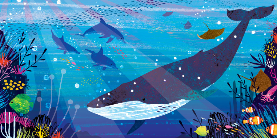 Discover What’s Under the Sea in These Underwater Illustrations