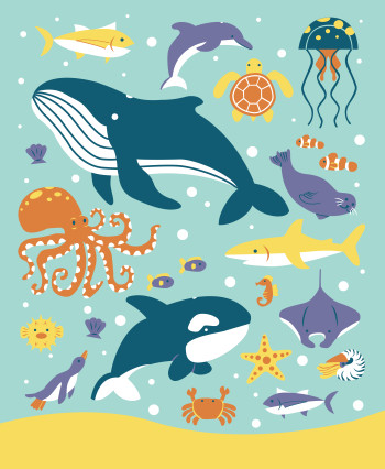 Sea Animals