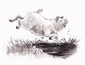 Little Piggie Big Fun