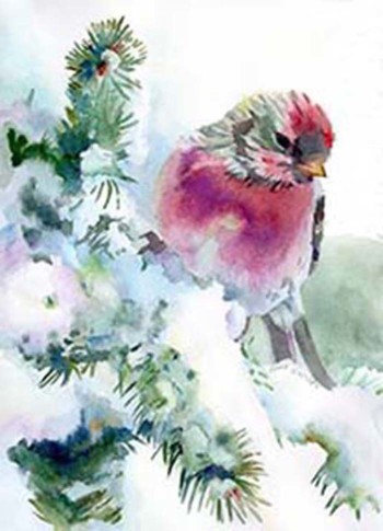 Winter bird