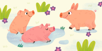 Old MacDonald Had a Farm - Illustrations for Nursery Rhymes
