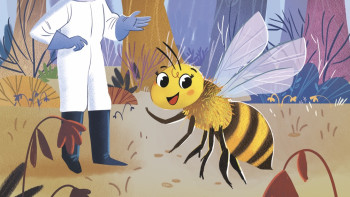 My Beehive, now on sale!