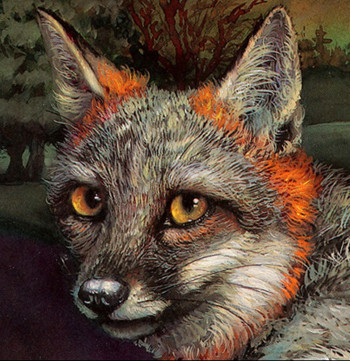 FOX Head