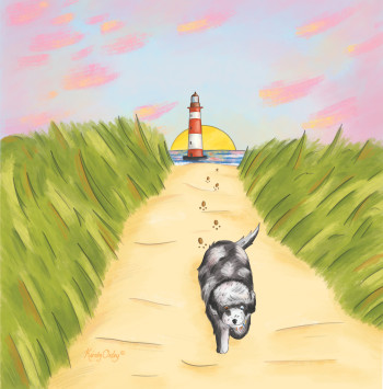 Meeko goes to the Beach