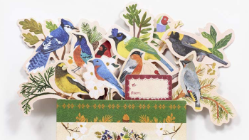 Birds in a Book
