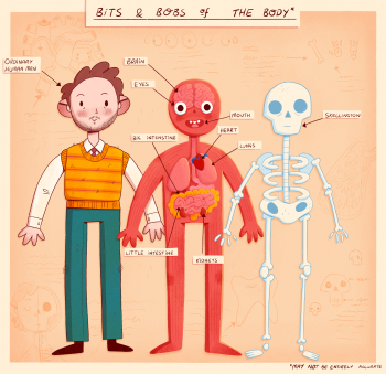 Anatomy