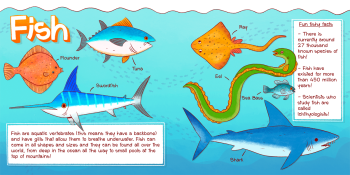 Sea Life