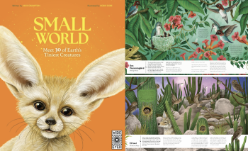Small World